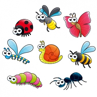 انواع حشرات به انگلیسی - آموزش به کودکان 