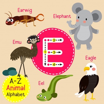 آموزش حرف E به کودکان با مثال